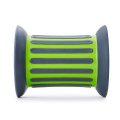 Gonge Roller, s pieskom