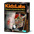 Kidzlabs 4M Tráviaci systém