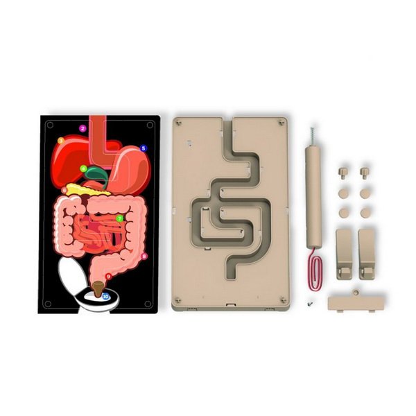 Kidzlabs 4M Tráviaci systém