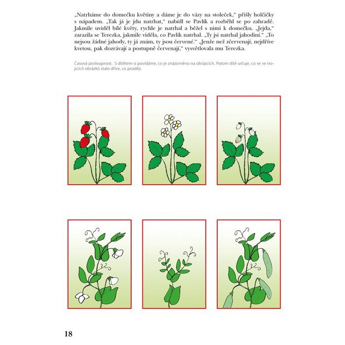 Edika Orientace v prostoru a v čase 4-6