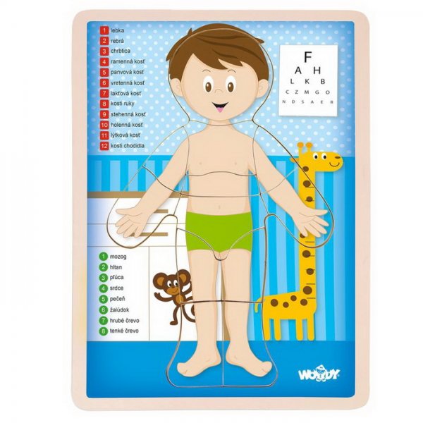 Woody Puzzle Ľudské telo Chlapec, 12 dielikov