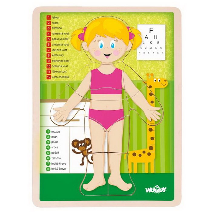 Woody Puzzle Ľudské telo Dievča, 12 dielikov