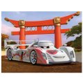 Dino Kubus Cars vo svete, 3x4