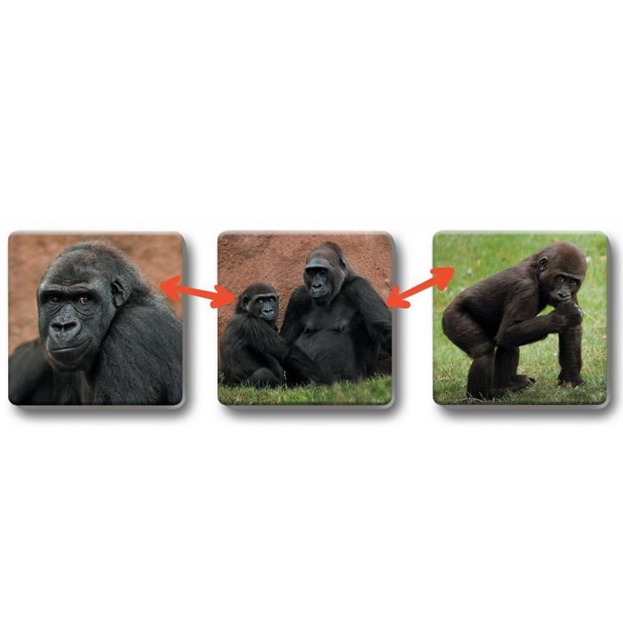 Lototrio Zvieratká v ZOO 1