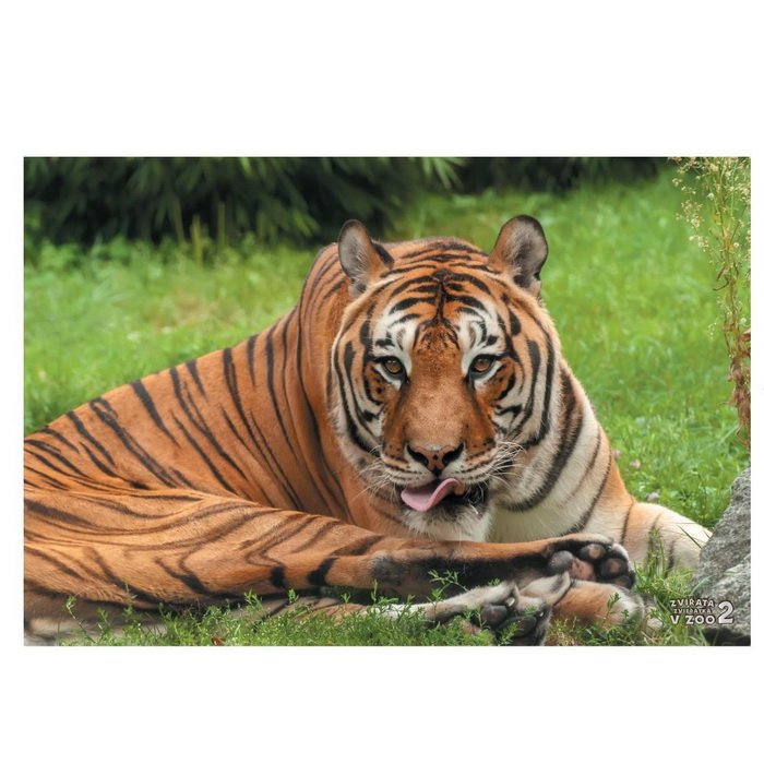 Lototrio Zvieratká v ZOO 2