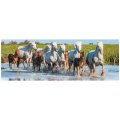 Dino Puzzle Camargské kone panoramic, 150 dielikov