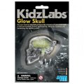 Kidzlabs 4M Svietiaca lebka