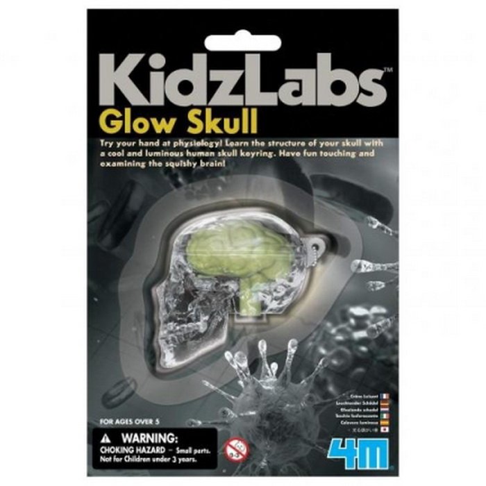 Kidzlabs 4M Svietiaca lebka