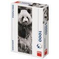 Dino Puzzle Panda v tráve panoramic, 1000 dielikov
