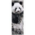 Dino Puzzle Panda v tráve panoramic, 1000 dielikov