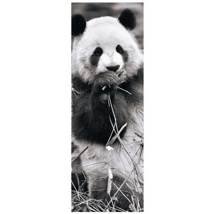 Dino Puzzle Panda v tráve panoramic, 1000 dielikov