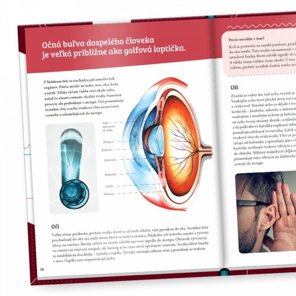 Albi Science Objavuj svet Ľudské telo