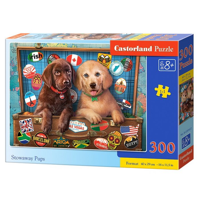 Castorland Puzzle Cestovatelia, 300 dielikov