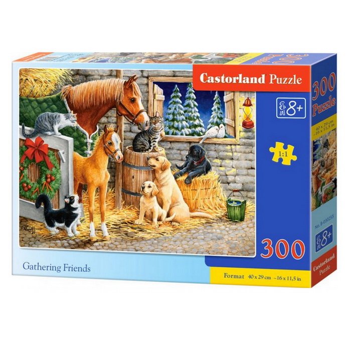 Castorland Puzzle Stretnutie priateľov, 300 dielikov