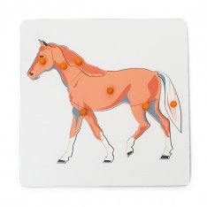 Montessori Puzzle Kôň, 7 dielikov