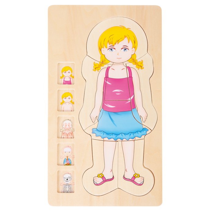 Školské viacvrstvové puzzle Anatómia dievča