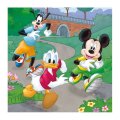 Dino Puzzle Mickey a Minnie športovci, 3 x 55 dielikov