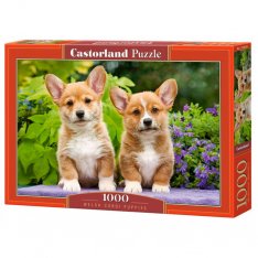 Castorland Puzzle Šteniatka Welsh Corgi, 1000 dielikov