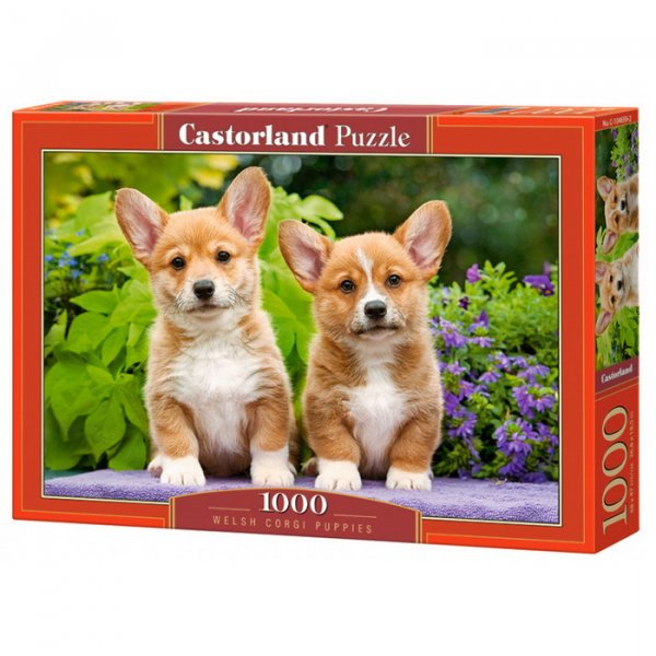 Castorland Puzzle Šteniatka Welsh Corgi, 1000 dielikov