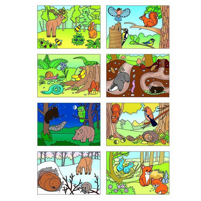 Vystrihovačka Začíname vystrihovať Zvieratká v lese 3+