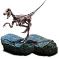 Lisciani Genius Science Velociraptor
