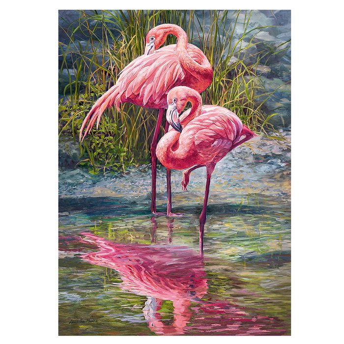 Cherry Pazzi Puzzle Plameniaci, 1000 dielikov