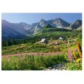 Cherry Pazzi Puzzle Tatry - Gasienicova dolina, 1000 dielikov
