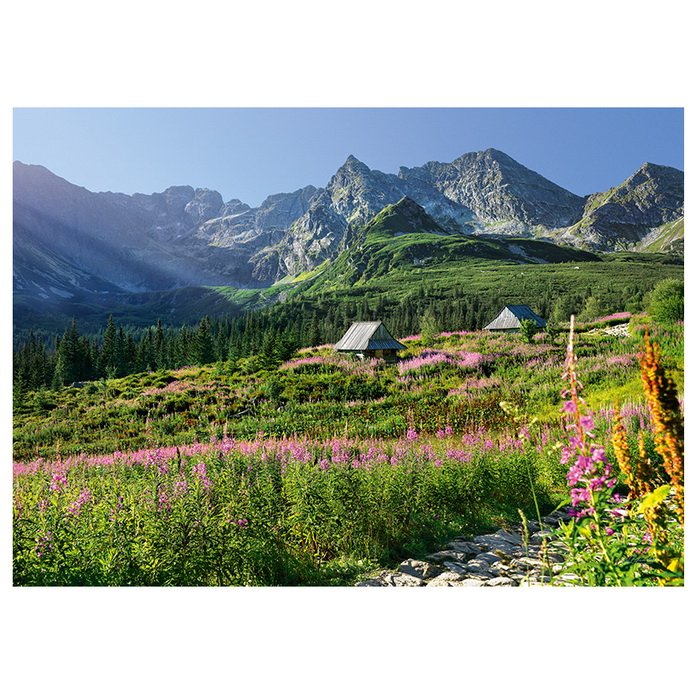 Cherry Pazzi Puzzle Tatry - Gasienicova dolina, 1000 dielikov
