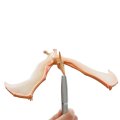 Brainstorm Balansujúci Pteranodon
