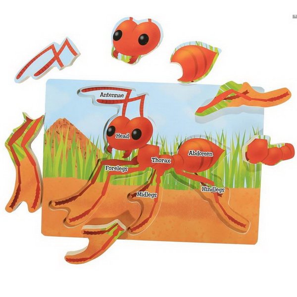 Insect Lore Drevené puzzle Mravec, 7 dielikov