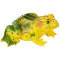 Školská sada Metamorfóza - Žaba