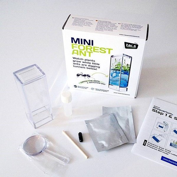 T.A.O.S. Gélové mravenisko Mini