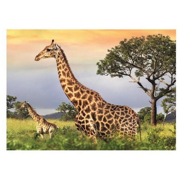 Dino Puzzle Žirafia rodina, 1000 dielikov