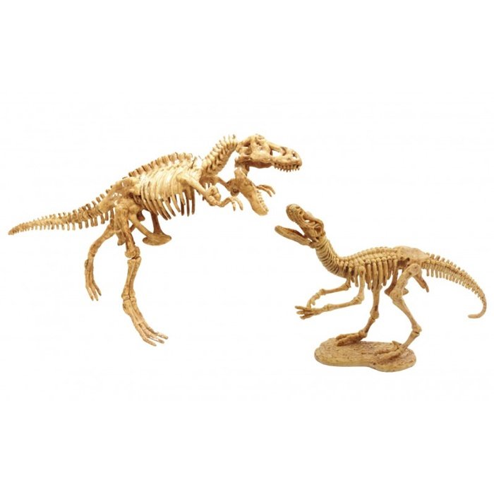 Buki Vykopávky predátorov 2v1 Tyranosaurus a Velociraptor