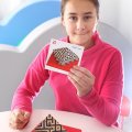 Logi-cube Zebra Pracovné karty + 3 podstavce