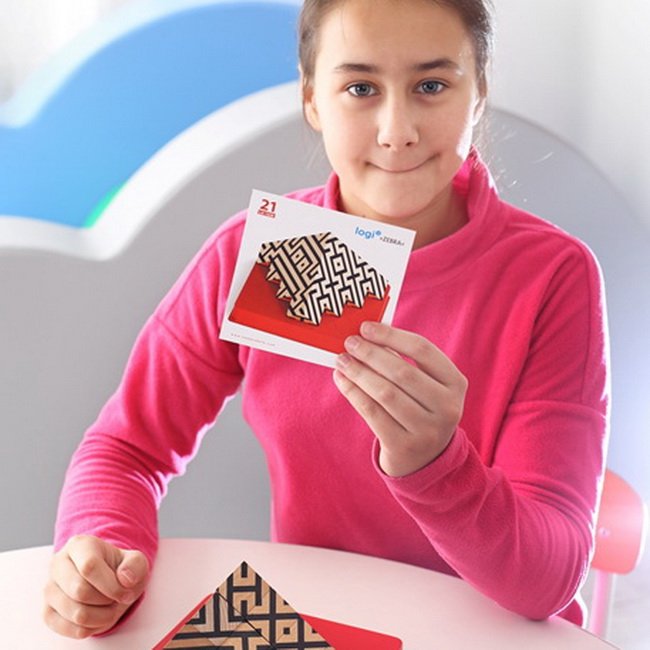 Logi-cube Zebra Pracovné karty + 3 podstavce