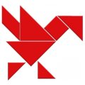 Djeco Tangram, 125 zadaní