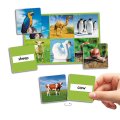 Akros Fotografické loto Zvieratá, pre 12 detí
