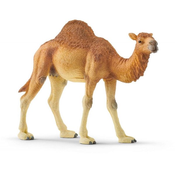 Schleich 14832 Ťava jednohrbá dromedár
