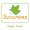 Sycomore