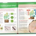 Albi Science Objavuj svet Rastliny