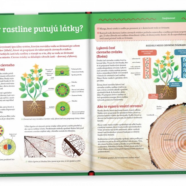 Albi Science Objavuj svet Rastliny