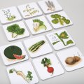 Magnetické obrázky Úžitkové rastliny, 45 kariet