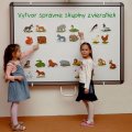 Komplexná sada magnetiek Zvieratká 1, 54 kariet