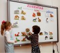 Komplexná sada magnetiek Zvieratká 1, 54 kariet