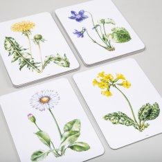Magnetické obrázky Naše kvety, 19 kariet