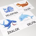 Magnetické obrázky Zvieratká – ďaleké krajiny, 48 kariet