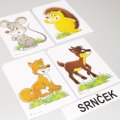 Magnetické obrázky Zvieratká – les a lúka, 56 kariet