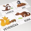 Magnetické obrázky Zvieratká – les a lúka, 56 kariet