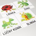 Magnetické obrázky Zvieratká – les a lúka, 56 kariet